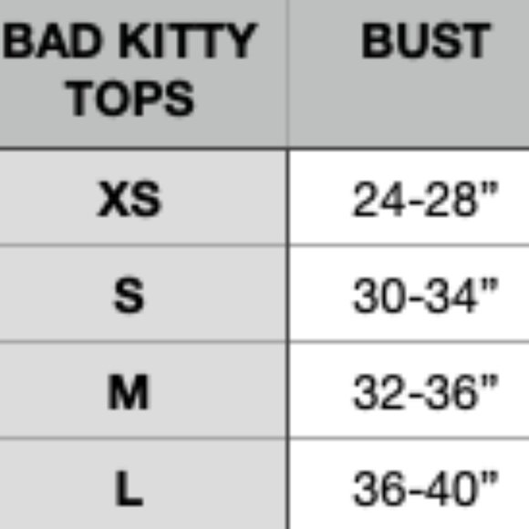 Bad Kitty Polefit Retro Sports Top NWOT - Picture 9 of 10
